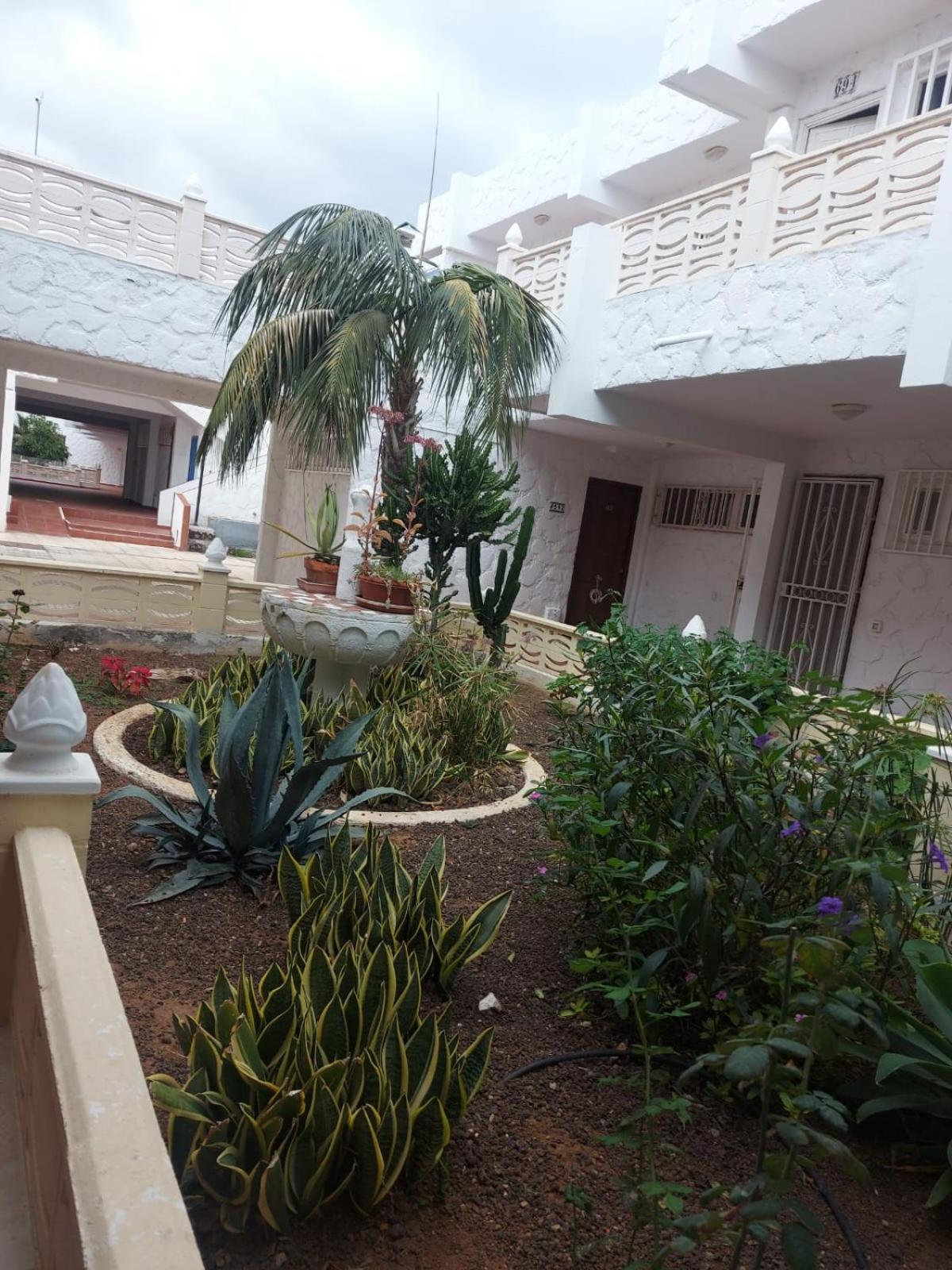 Casa Papagayo Apartment Arona  Exterior photo